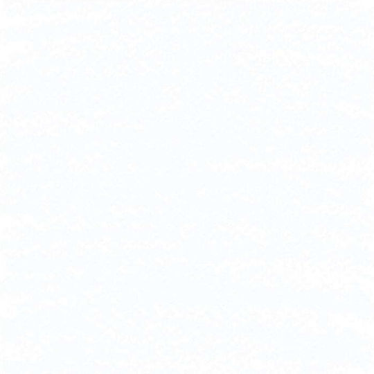 Royal Talens Λαδοπαστέλ 830.5 Pearlescent White