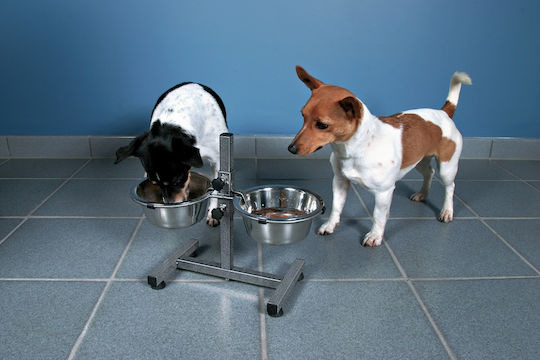 Trixie Edelstahl Schalen Futter & Wasser für Hund & Katze auf Basis von 750ml 15cm in Silber Farbe
