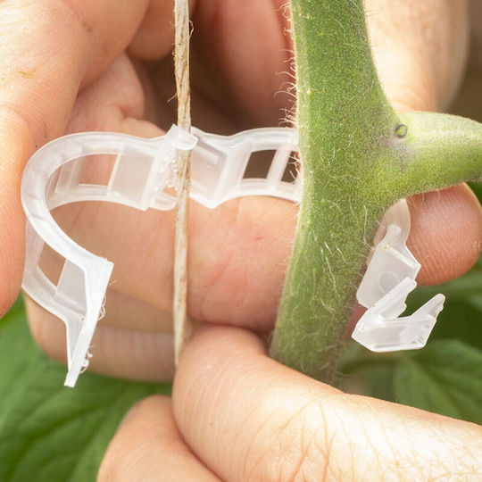 Technoplastic Clips De Legare Plante 1000 Bucăți