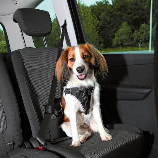 Trixie Seatbelt Car for Dog Large 70-90cm/25mm Black