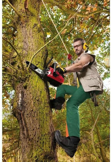 Scheppach Fierăstrău pe benzină 3.5kg cu lamă 25cm