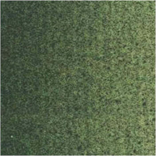 Royal Talens Van Gogh Oil Colour Terre Verte 629 200ml