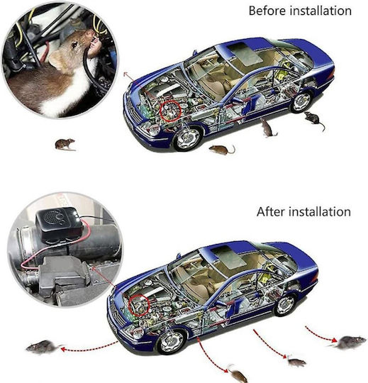 Marderschreck für Autos Schwarz Farbe