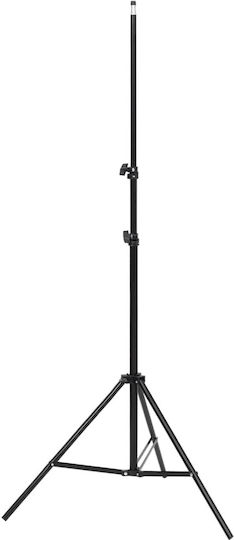 vidaXL Studio-Fotografie-Kit Set Lichter Hintergrund & Reflektor Beleuchtungsset für Studio