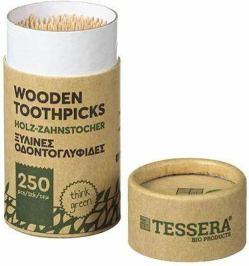 Tessera Toothpick Foodservice Disposable 250pcs QPBTT
