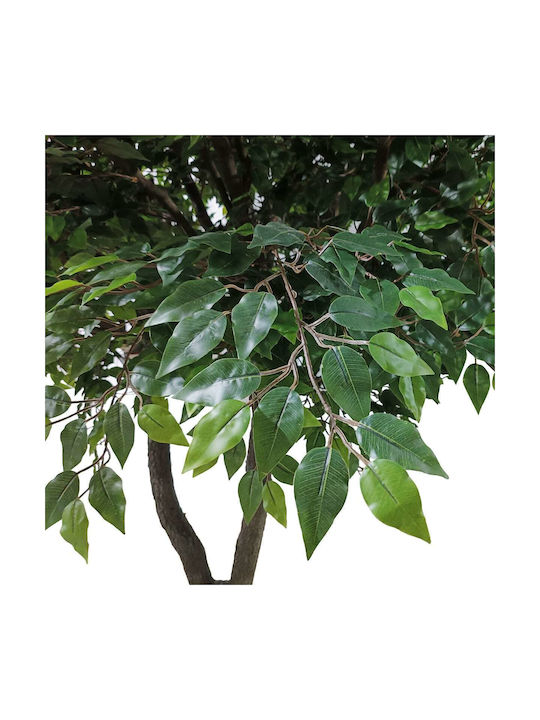 Ficus Baum im Freien 350cm GloboStar