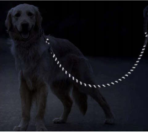 Purlov Dog Leash/Lead Strap Purlov in Black color 5m x 1.2cm