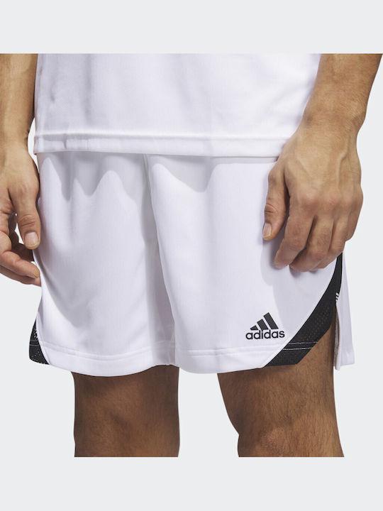Icon Squad Sportliche Herrenshorts Weiß