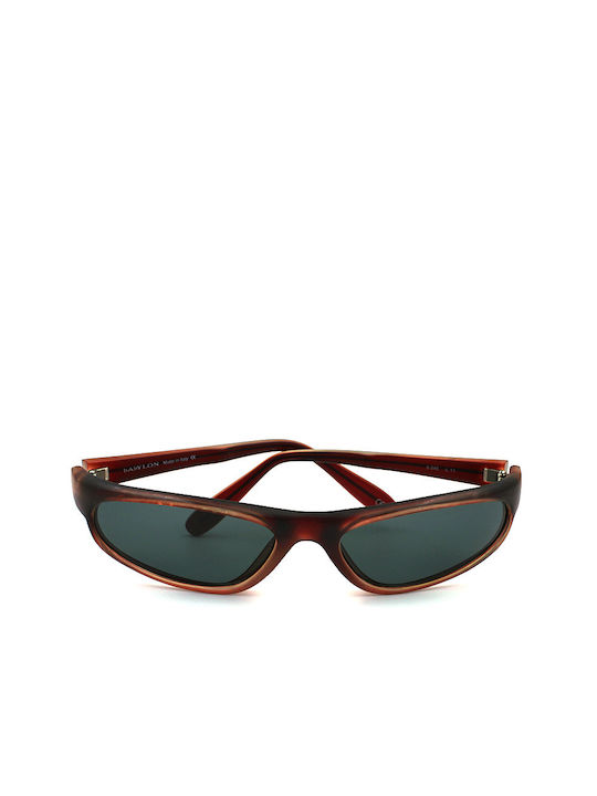 Babylon Sunglasses with Brown Plastic Frame and Brown Lens B245 C11