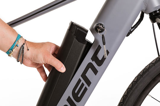 Orient Street 1.0 28" 2024 Gri Electric Bicicletă Mountain
