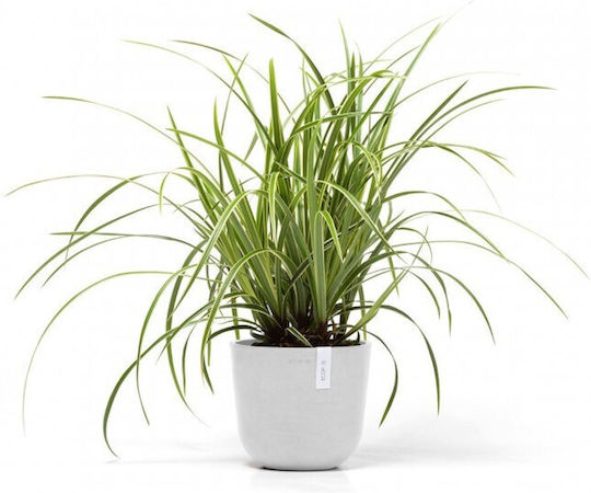 Ecopots Oslo Mini