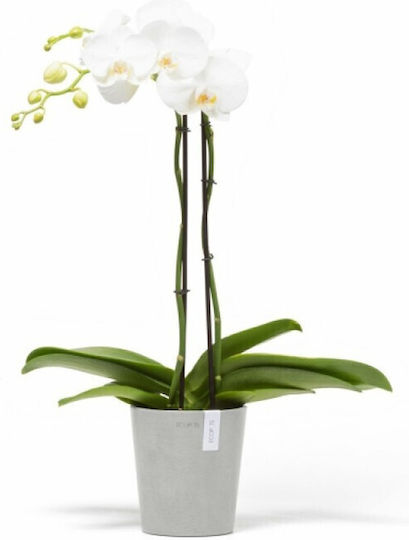Ecopots Саксия Пластмаса