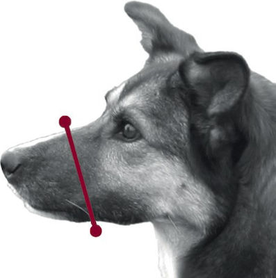 Trixie Dog Muzzle Πλαστικό Μαύρο Medium 20cm