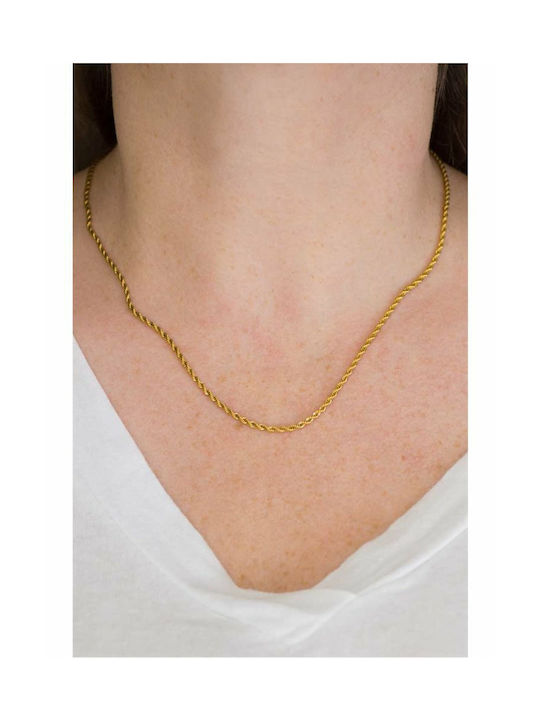 Paraxenies Chain Neck Spiral Gold-plated Length 50cm