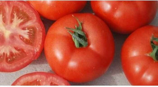 Syngenta Σπόροι Τομάτας
