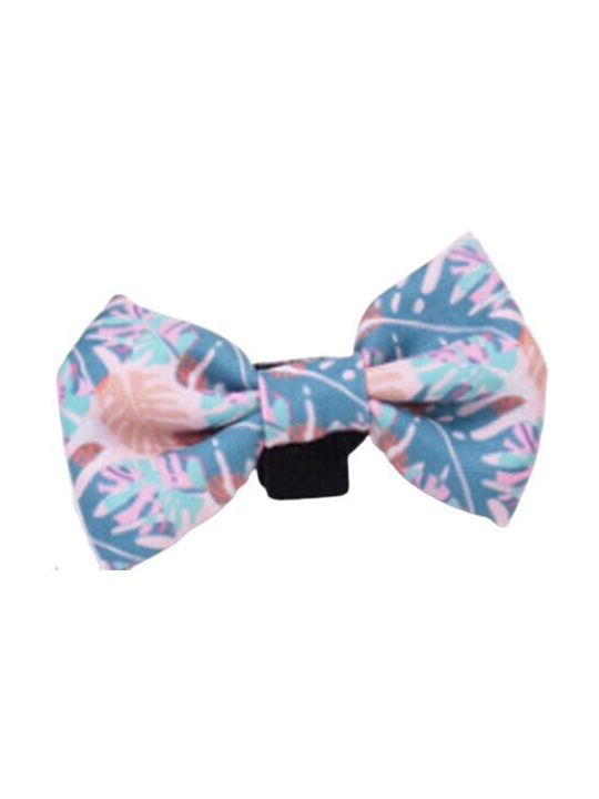 Croci chic Κολάρο Medium / Small