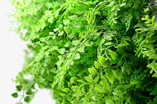 Showood Artificial Foliage Panel Fern 50x50cm Premium