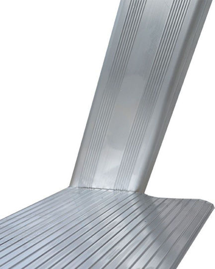 Profal Max110 Ladder Aluminum with 4+1 Steps 172cm