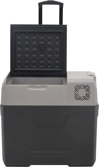 vidaXL Φορητό Ψυγείο 50lt 12V Μαύρο