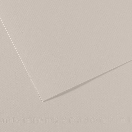 Canson Mi-Teintes Gray
