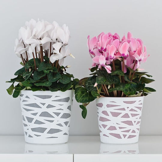 Don-Plast Pot Plastic Don-Plast Pot Plastic