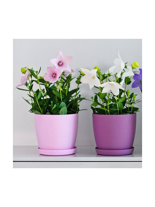Don-Plast Ghiveci Plastic 25x25x22.9cm.