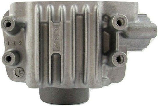 Kawasaki Motorcycle Engine Cylinder 53mm