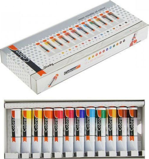 Royal Talens Cobra Study Set Ölfarben Mehrfarbig 20ml 12Stück 25820412