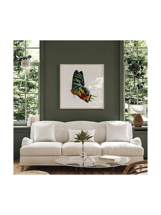 Walls Αφίσα Bunte Schmetterling 20x20cm