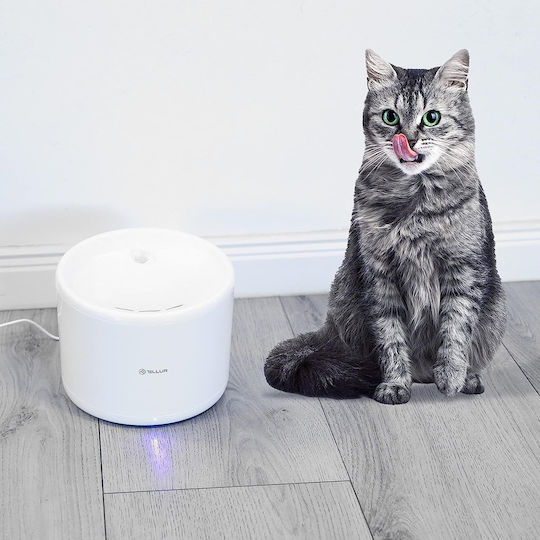 Tellur Automatisch Metallisch Wasserspender / Brunnen für Hund & Katze 2lt 16cm in Weiß Farbe