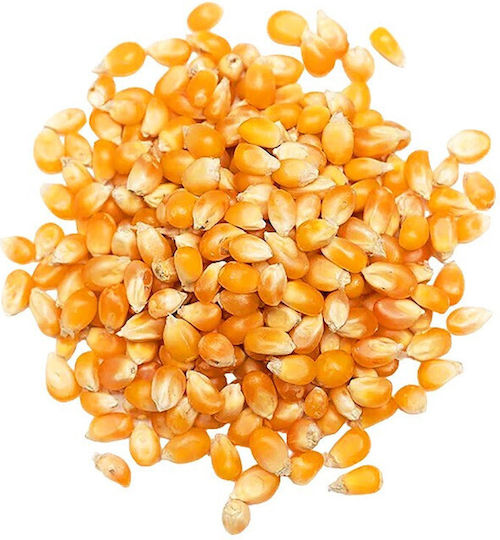 MPACHARADIKO Popcorn-Kerne 1000gr