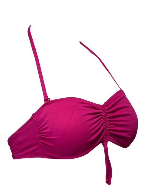Fuchsie