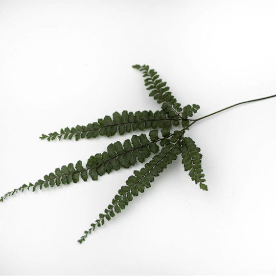Букет от изкуствени цветя Fern Green 15см 6бр Selected by Pragmatic