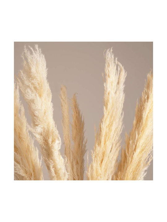 Artificial Decorative Branch Pampas Grass Beige 1pcs