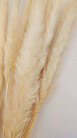 Bouquet of Artificial Flowers Pampas Grass 60cm 15pcs