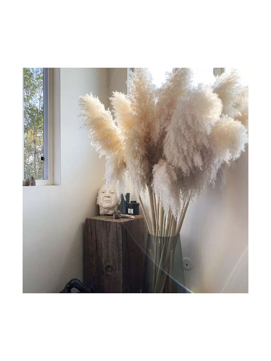 Τεχνητό Φυτό Pampas grass 65cm