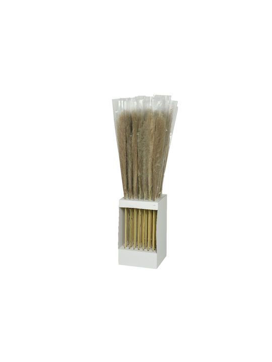 Artificial Decorative Branch Pampas Grass Brown 12cm Interni Oggi
