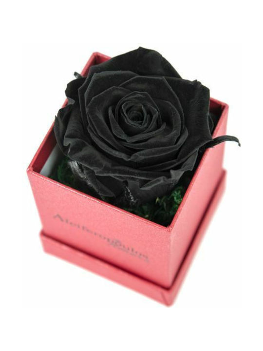 Aleiferopoulos Flowers Eternal Rose Black in Box 1pcs