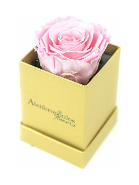 Aleiferopoulos Flowers Ewige Rose Rosa in Box 1Stück