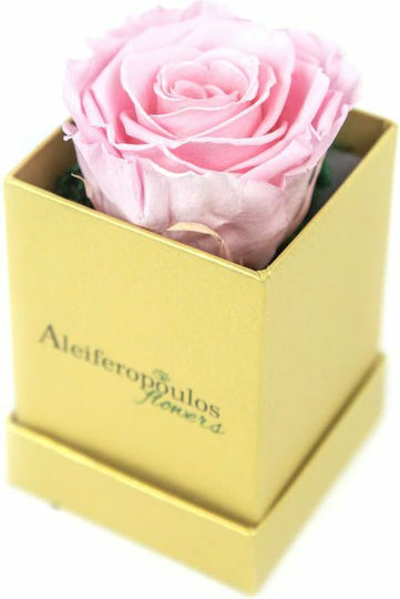 Παντοτινό Τριαντάφυλλο Ροζ σε Κουτί Aleiferopoulos Flowers