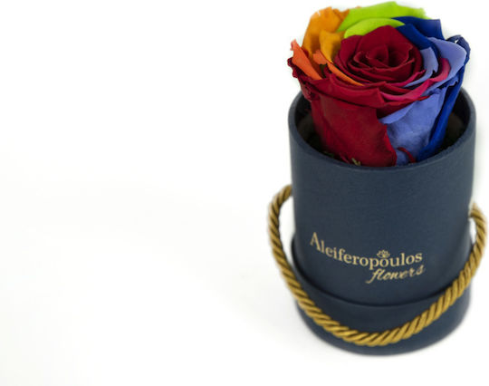 Trandafir Etern Multicolour în cutie Aleiferopoulos Flowers