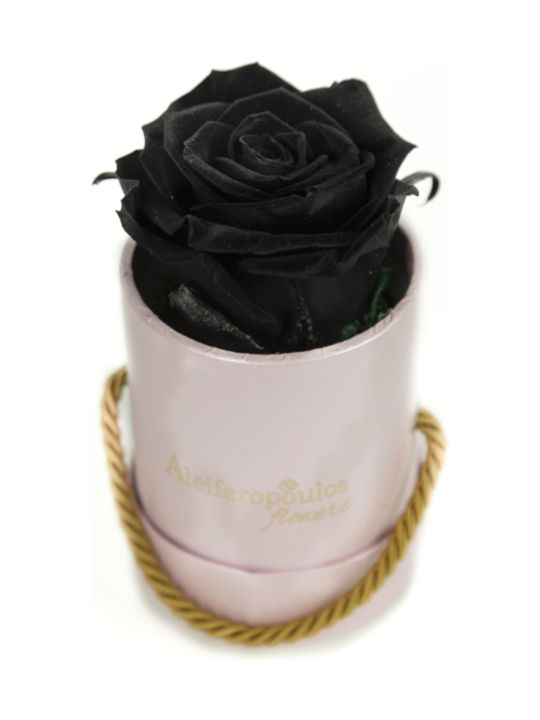 Aleiferopoulos Flowers Eternal Rose Black in Box 1pcs