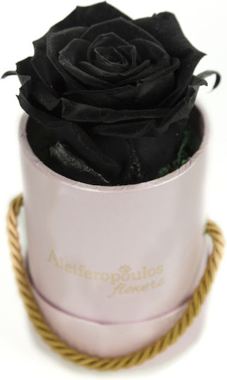 Вечно роза Черен в кутията Aleiferopoulos Flowers