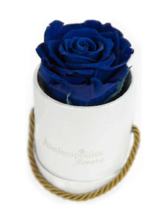 Aleiferopoulos Flowers Eternal Rose Blue in Box 1pcs