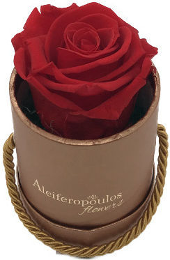 Ewige Rose Rot in Box Aleiferopoulos Flowers