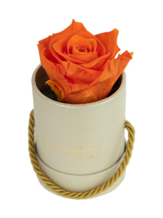 Aleiferopoulos Flowers Eternal Rose Orange in Box 1pcs