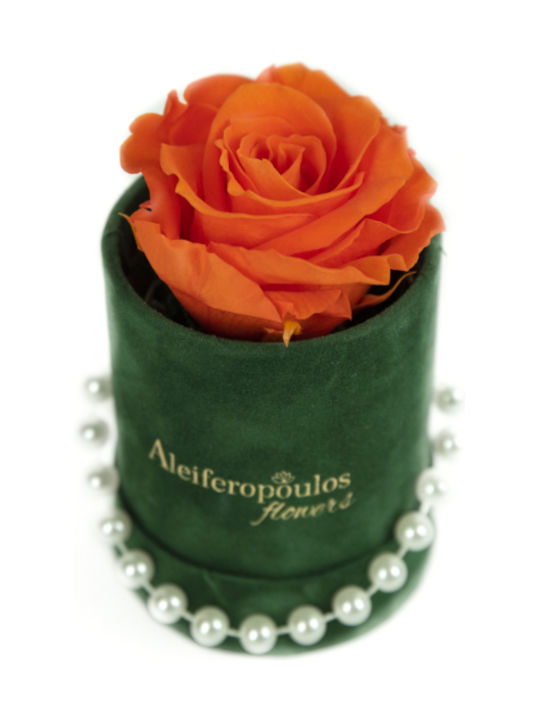 Aleiferopoulos Flowers Eternal Rose Orange in Box 1pcs