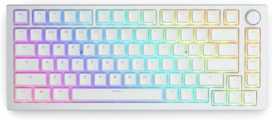 Glorious PC Gaming Race Aura Ключодържатели V2 Ключодържател