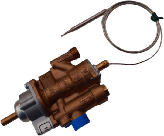 Pintossi Thermostat for Boiler