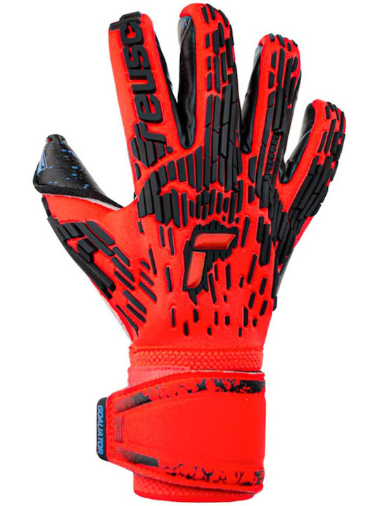 Reusch Attrakt Freegel Γάντια Τερματοφύλακα Ενηλίκων Κόκκινα Fusion Goaliator